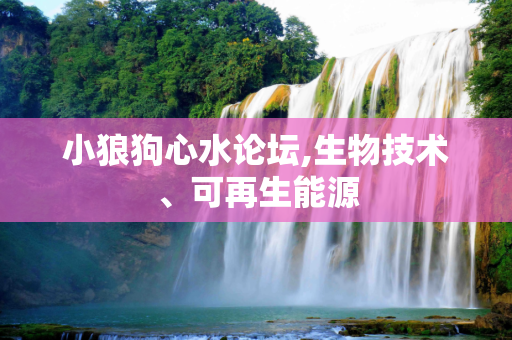小狼狗心水论坛,生物技术、可再生能源