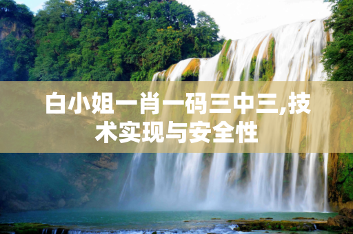 白小姐一肖一码三中三,技术实现与安全性