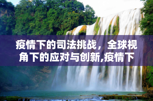 疫情下的司法挑战，全球视角下的应对与创新,疫情下司法挑战