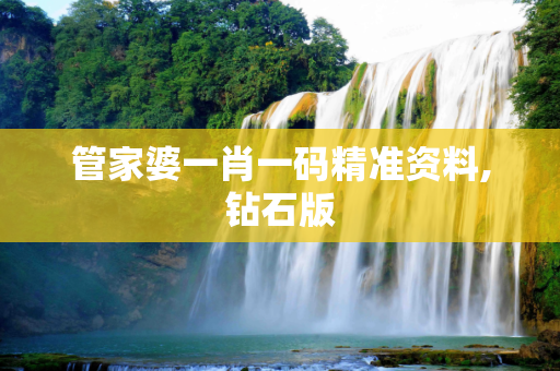 管家婆一肖一码精准资料,钻石版