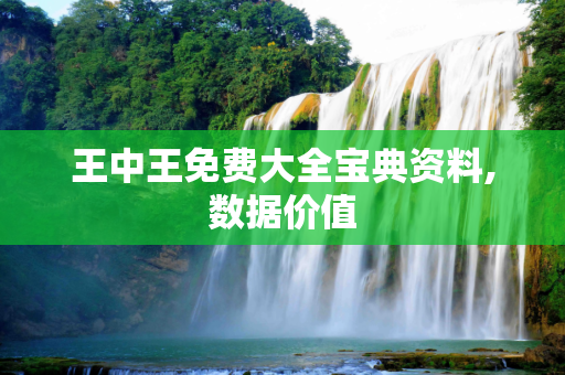 王中王免费大全宝典资料,数据价值