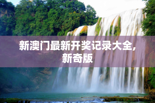 新澳门最新开奖记录大全,新奇版