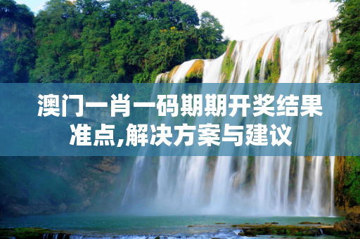 澳门一肖一码期期开奖结果准点,解决方案与建议