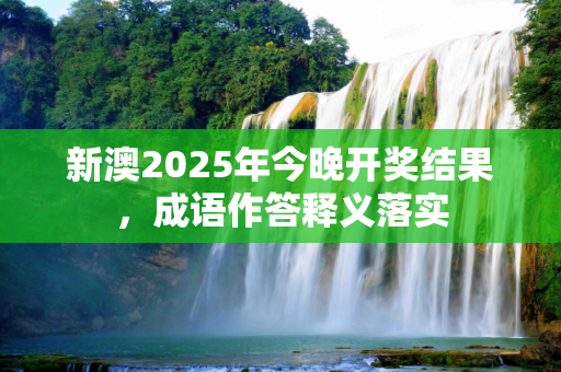 新澳2025年今晚开奖结果，成语作答释义落实