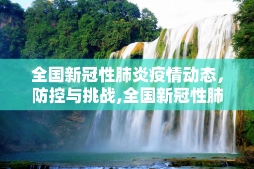 全国新冠性肺炎疫情动态，防控与挑战,全国新冠性肺炎疫情动态