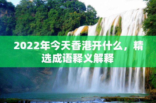 2022年今天香港开什么，精选成语释义解释