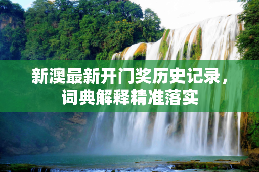 新澳最新开门奖历史记录，词典解释精准落实