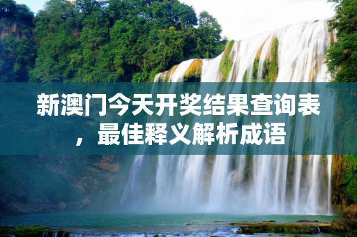 新澳门今天开奖结果查询表，最佳释义解析成语