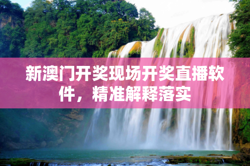 新澳门开奖现场开奖直播软件，精准解释落实