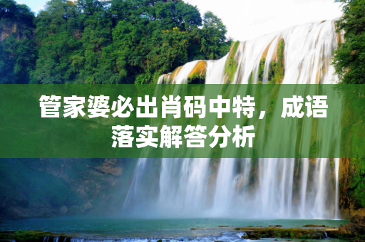 管家婆必出肖码中特，成语落实解答分析