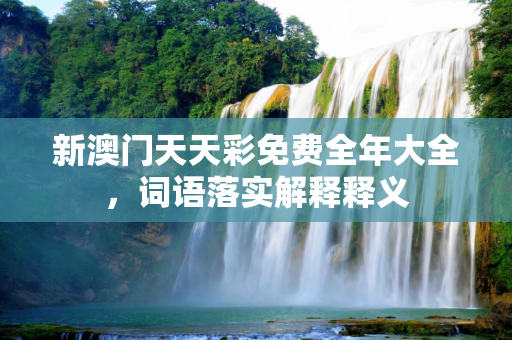 新澳门天天彩免费全年大全，词语落实解释释义