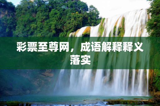 彩票至尊网，成语解释释义落实