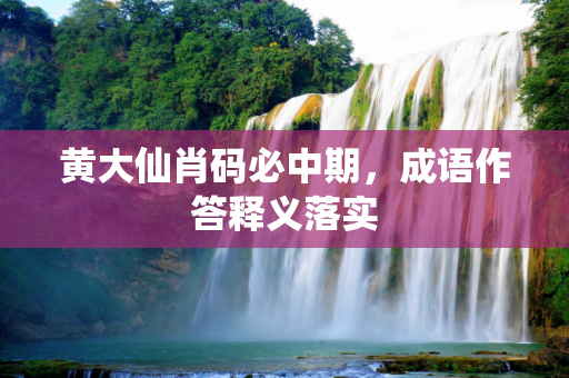 黄大仙肖码必中期，成语作答释义落实