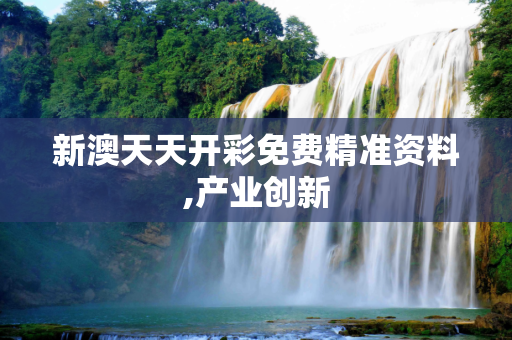 新澳天天开彩免费精准资料,产业创新
