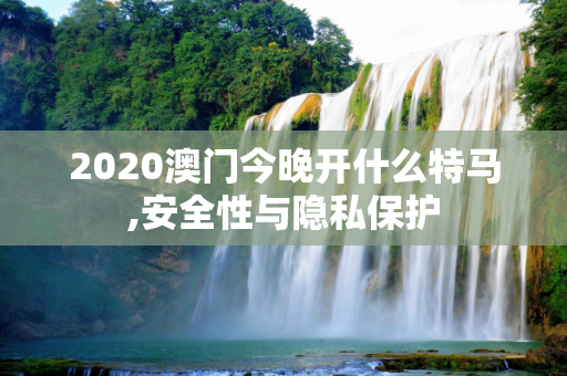 2020澳门今晚开什么特马,安全性与隐私保护