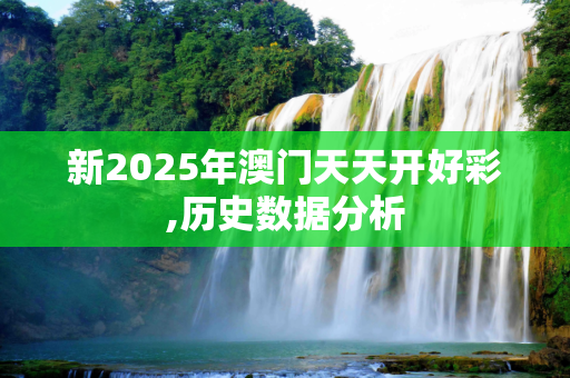 新2025年澳门天天开好彩,历史数据分析