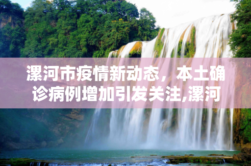 漯河市疫情新动态，本土确诊病例增加引发关注,漯河新增本土确诊
